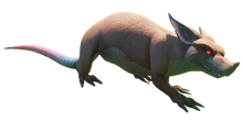 Giant Rat