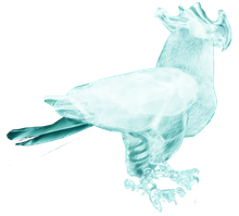 Spectral Bird